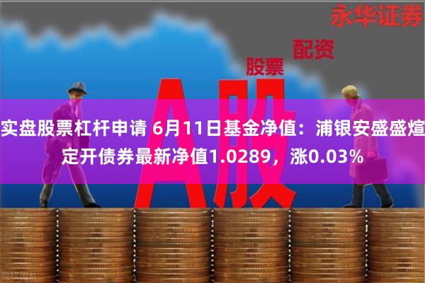 实盘股票杠杆申请 6月11日基金净值：浦银安盛盛煊定开债券最新净值1.0289，涨0.03%